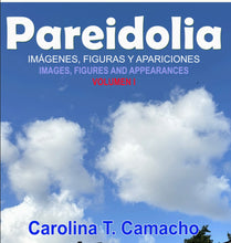 Load image into Gallery viewer, Pareidolia book