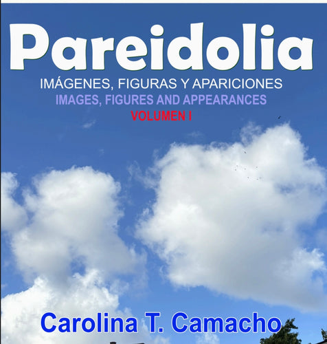 Pareidolia book