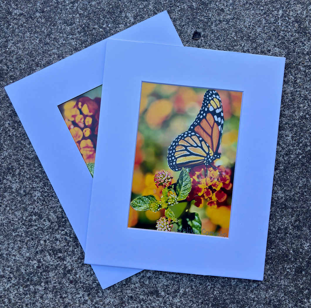 Butterfly Print #1