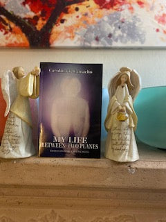 My Life  Between Two Planes Book